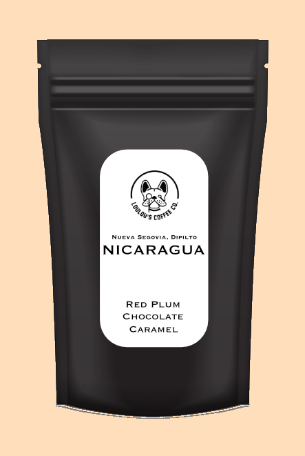 NICARAGUA, Nueva Segovia Dipilto